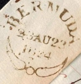 Bermuda-Fleuron(02)